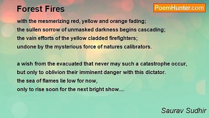 Saurav Sudhir - Forest Fires