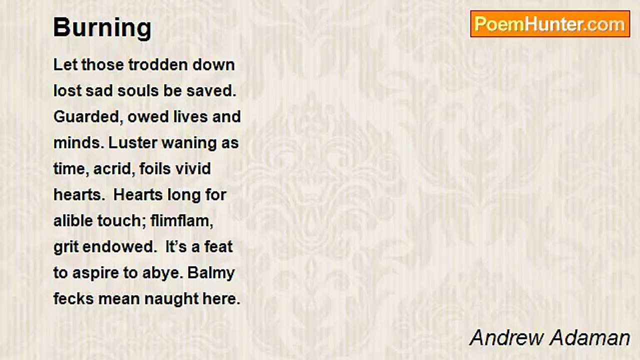 Andrew Adaman - Burning