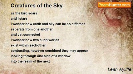 Leah Ayliffe - Creatures of the Sky