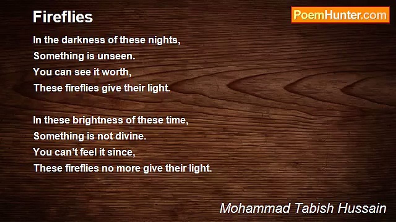 Mohammad Tabish Hussain - Fireflies