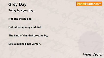 Peter Vector - Grey Day