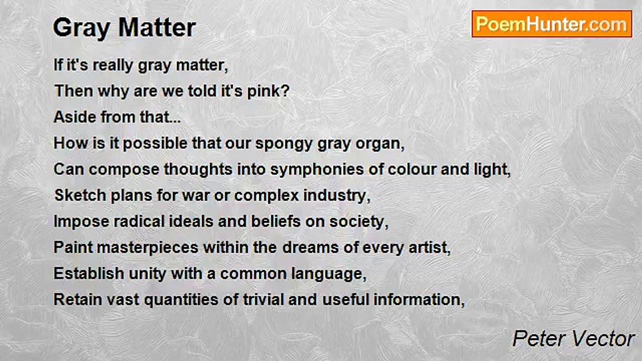 Peter Vector - Gray Matter
