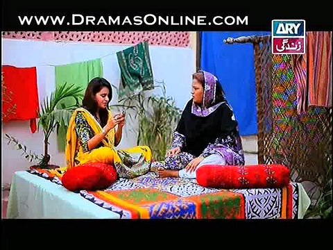 Behnein Aisi Bhi Hoti Hain Episode 119 on ARY Zindagi in High Quality 10th November 2014