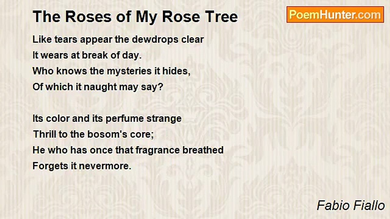 Fabio Fiallo - The Roses of My Rose Tree