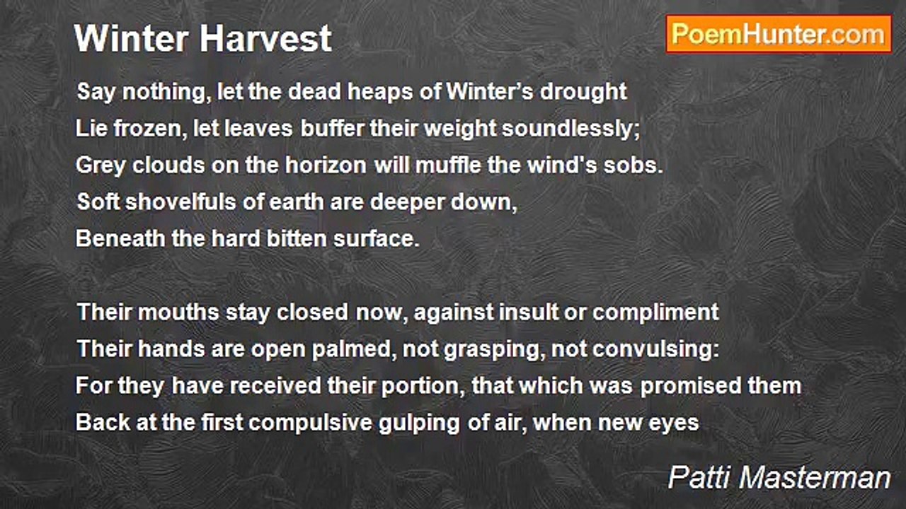 Patti Masterman - Winter Harvest