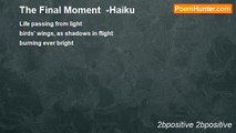 2bpositive 2bpositive - The Final Moment  -Haiku