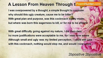 2bpositive 2bpositive - A Lesson From Heaven Through the Agency of a Cockroach