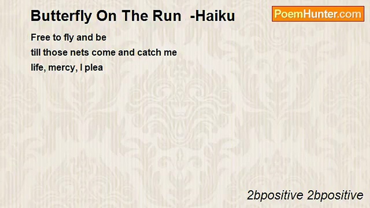 2bpositive 2bpositive - Butterfly On The Run  -Haiku