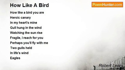 Robert Leary - How Like A Bird