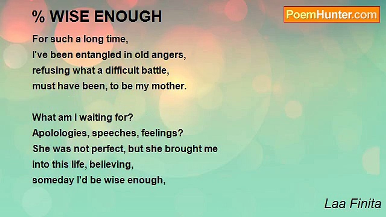 Laa Finita - % WISE ENOUGH