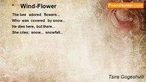 Tsira Gogeshvili - *    Wind-Flower