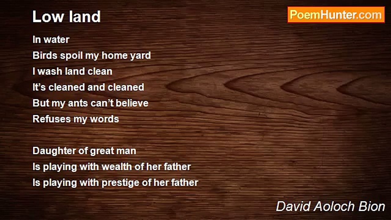 David Aoloch Bion - Low land
