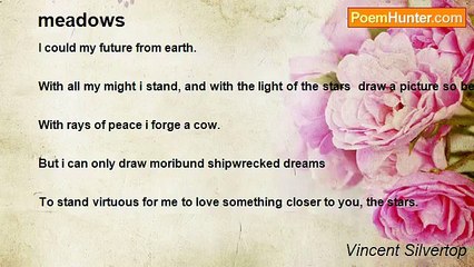 Vincent Silvertop - meadows