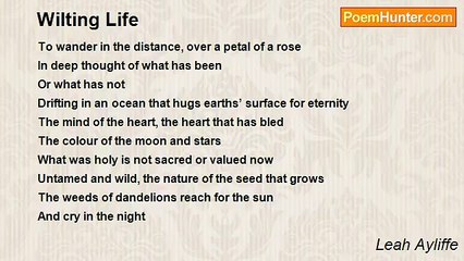 Leah Ayliffe - Wilting Life