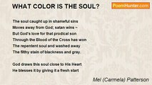 Carmela Patterson - WHAT COLOR IS THE SOUL?