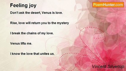 Vincent Silvertop - Feeling joy