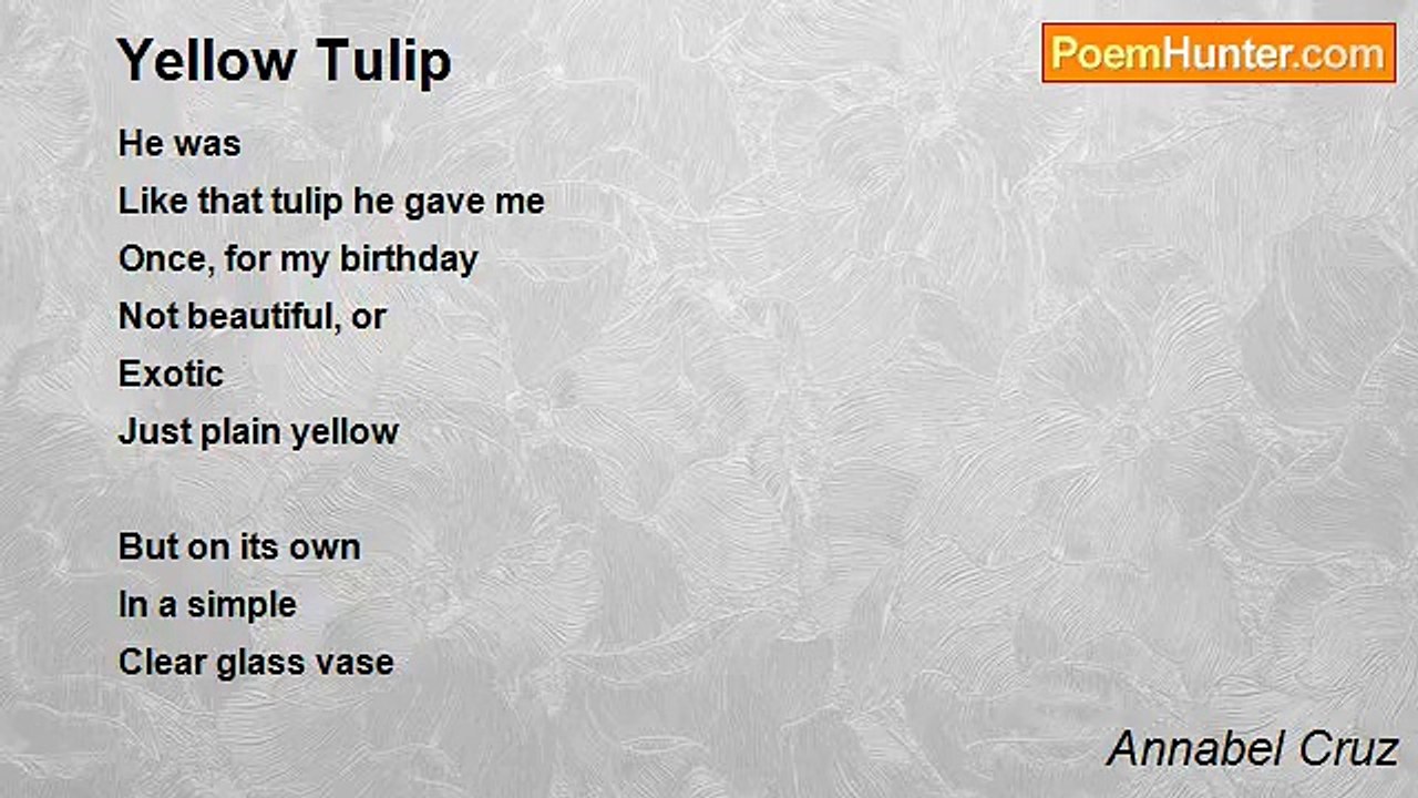 Annabel Cruz - Yellow Tulip