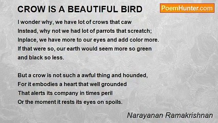 Narayanan Ramakrishnan - CROW IS A BEAUTIFUL BIRD