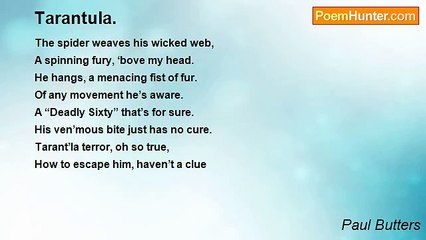 Paul Butters - Tarantula.