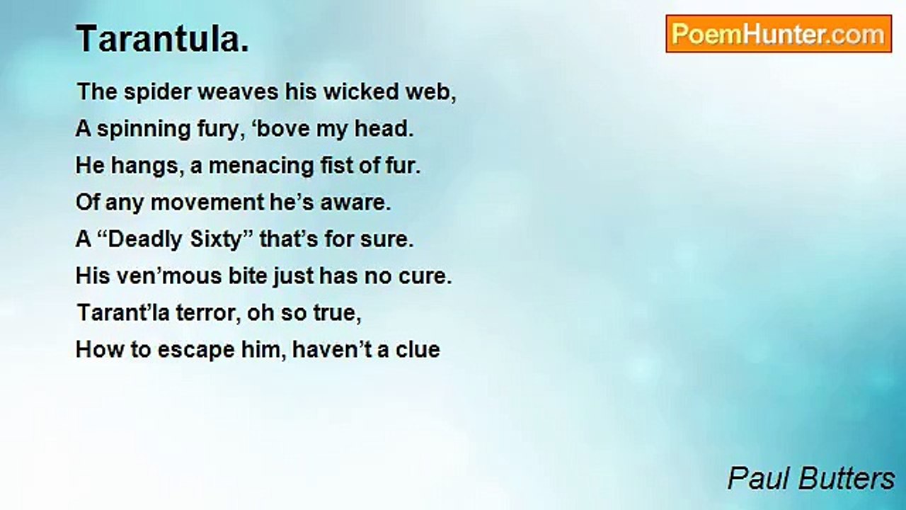 Paul Butters - Tarantula.