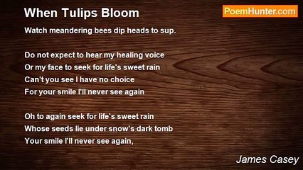 James Casey - When Tulips Bloom