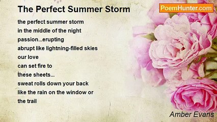Amber Evans - The Perfect Summer Storm