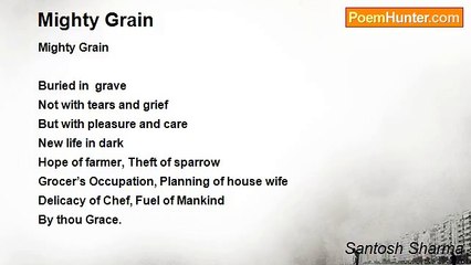 Santosh Sharma - Mighty Grain
