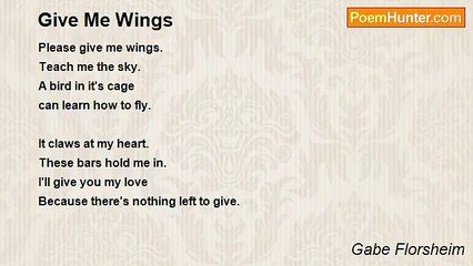Gabe Florsheim - Give Me Wings