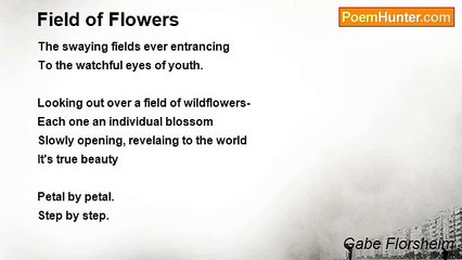 Gabe Florsheim - Field of Flowers