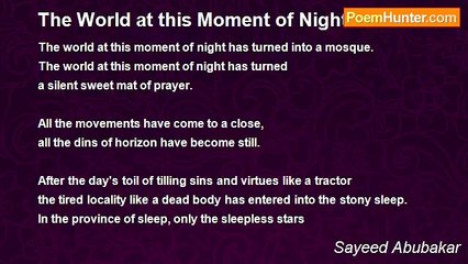 Sayeed Abubakar - The World at this Moment of Night