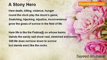 Sayeed Abubakar - A Stony Hero