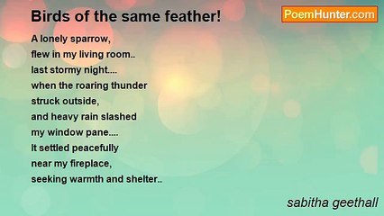 sabitha geethall - Birds of the same feather!