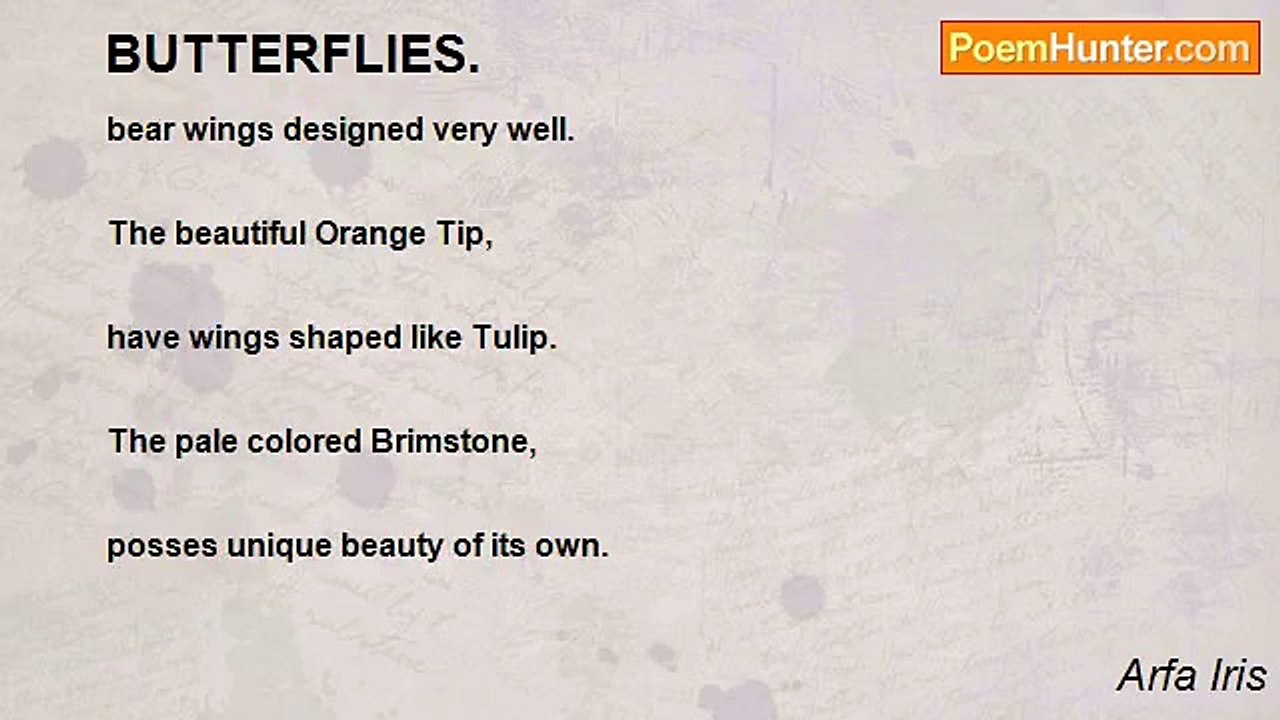 Arfa Iris - BUTTERFLIES.