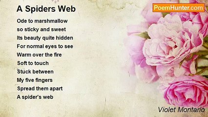 Violet Montario - A Spiders Web