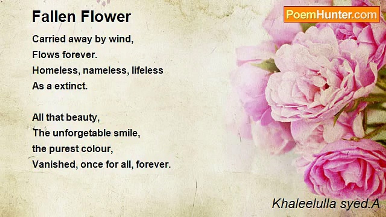 Khaleelulla syed.A - Fallen Flower