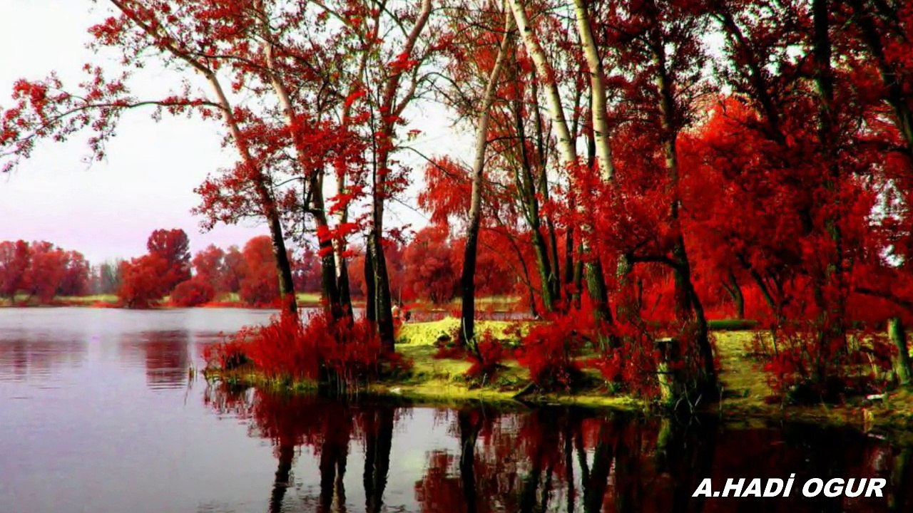 TUAL YİNE AYLARDAN KASIM