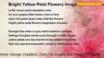 Terence George Craddock (Spectral Images and Images Of Light) - Bright Yellow Petal Flowers Imagination Showers
