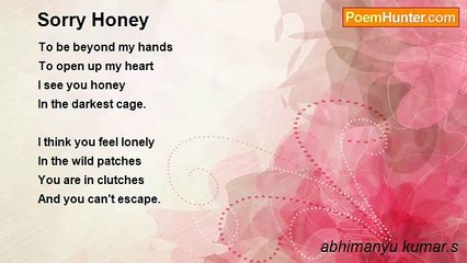 abhimanyu kumar.s - Sorry Honey