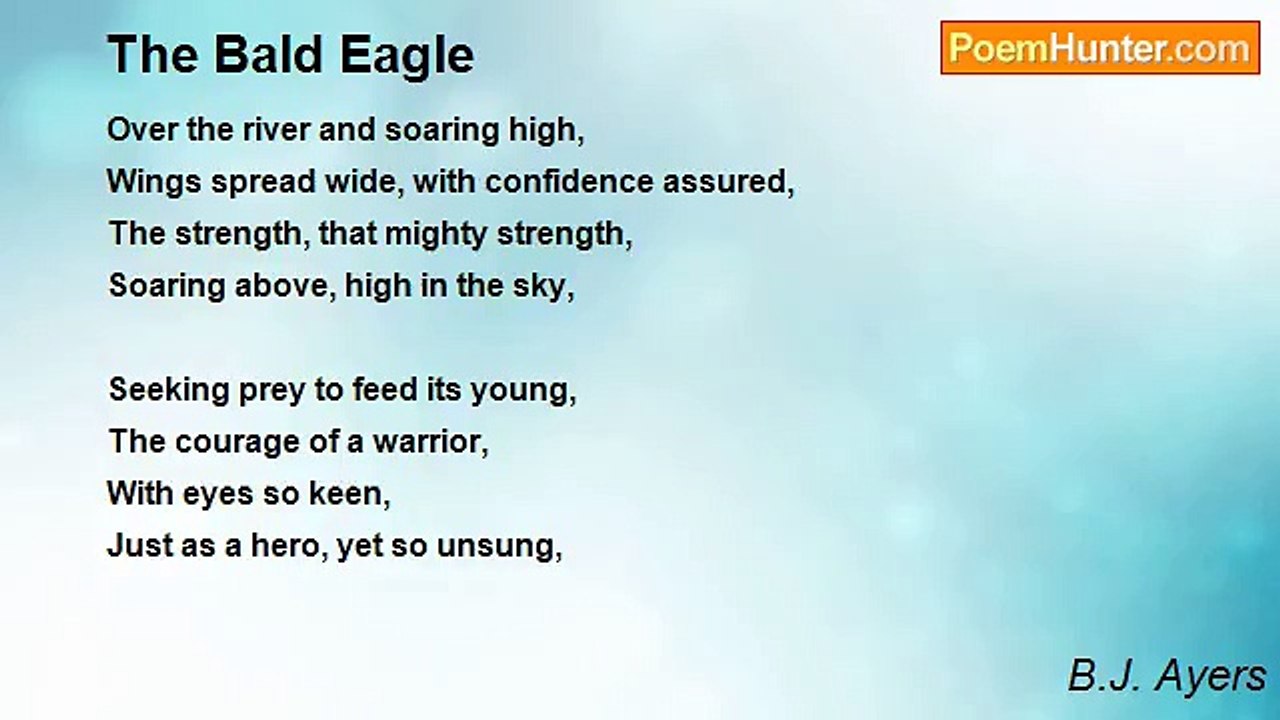 B.J. Ayers - The Bald Eagle
