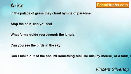 Vincent Silvertop - Arise