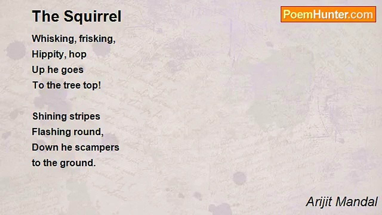 Arijit Mandal - The Squirrel