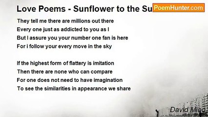 David Miao - Love Poems - Sunflower to the Sun