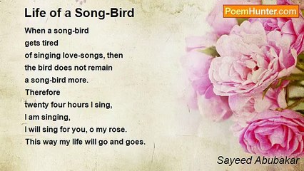 Sayeed Abubakar - Life of a Song-Bird