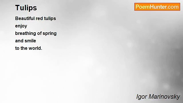 Igor Marinovsky - Tulips