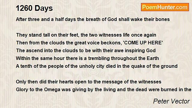 Peter Vector - 1260 Days