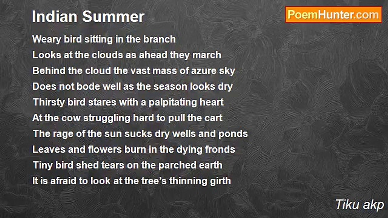 Tiku akp - Indian Summer