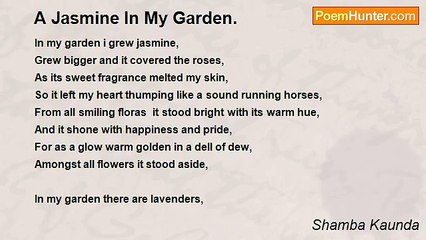 Shamba Kaunda - A Jasmine In My Garden.