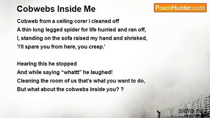 sidra naz - Cobwebs Inside Me