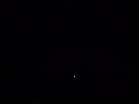 Perturbée par les ultrasons d'une rivale, une chauve-souris rate sa proie