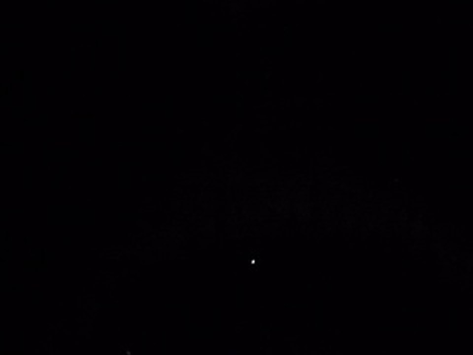 Perturbée par les ultrasons d'une rivale, une chauve-souris rate sa proie